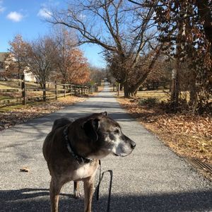 Meet your Posher, Keith